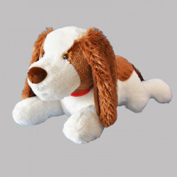 Pluszowy Pies Cavalier 50 cm